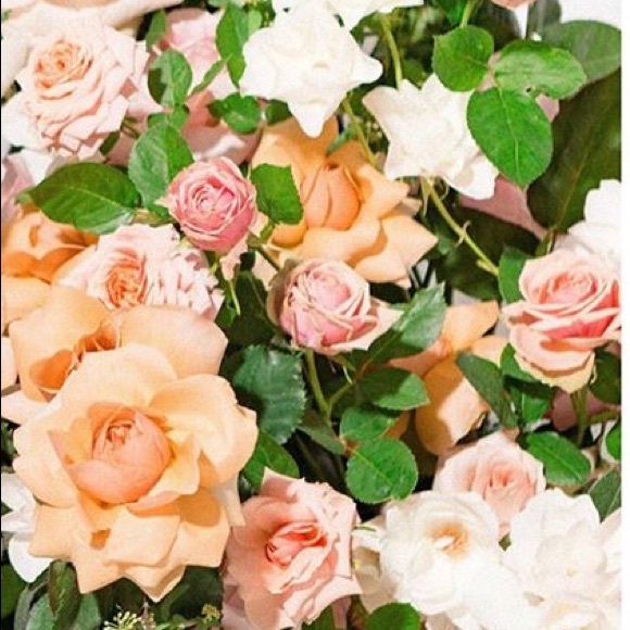 Meet your Posher, Karissa - Picture 1 of 1